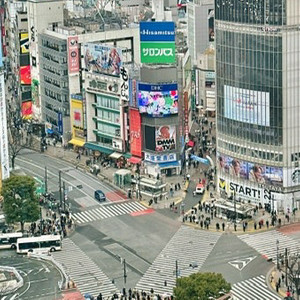 도쿄 시부야 베이프매장 내부 사진찍어주실분