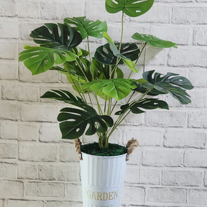 새상품)생화같은 몬스테라 화초 조화 대형철제 화분 인테