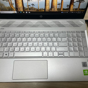 HP 노트북 i5 10세대 외장형MX250,서든롤캐드