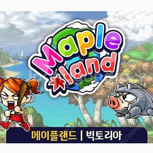 메이플랜드 닉네임 SS급 두글자 삽니다