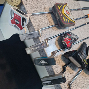 퍼터모응외 기타 등등 사진10장