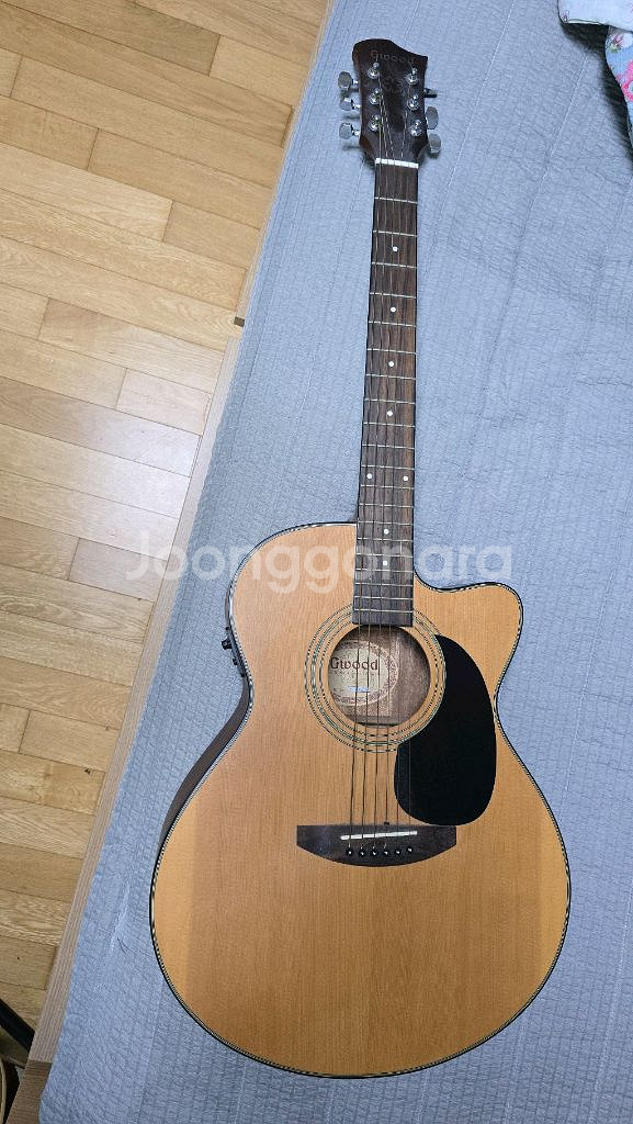 지우드 입문용 통기타 ag-50ce--0