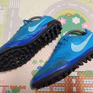 티엠포 프록시모 잔뽕 창갈이 250