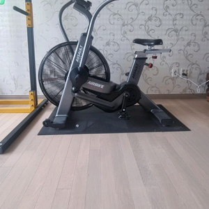 어썰트 에어바이크 엘리트 (배송가능) 완전새것