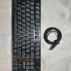 roccat vulcan tkl(로켓 불칸 텐키리스)