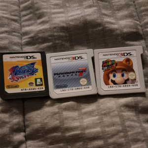 닌텐도 DS/3DS 칩