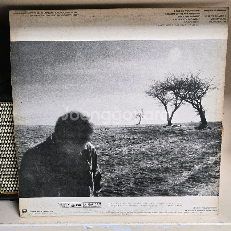 코리 하트 lp판--1