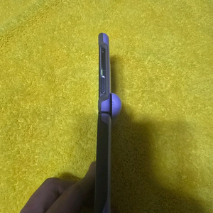 플립4
