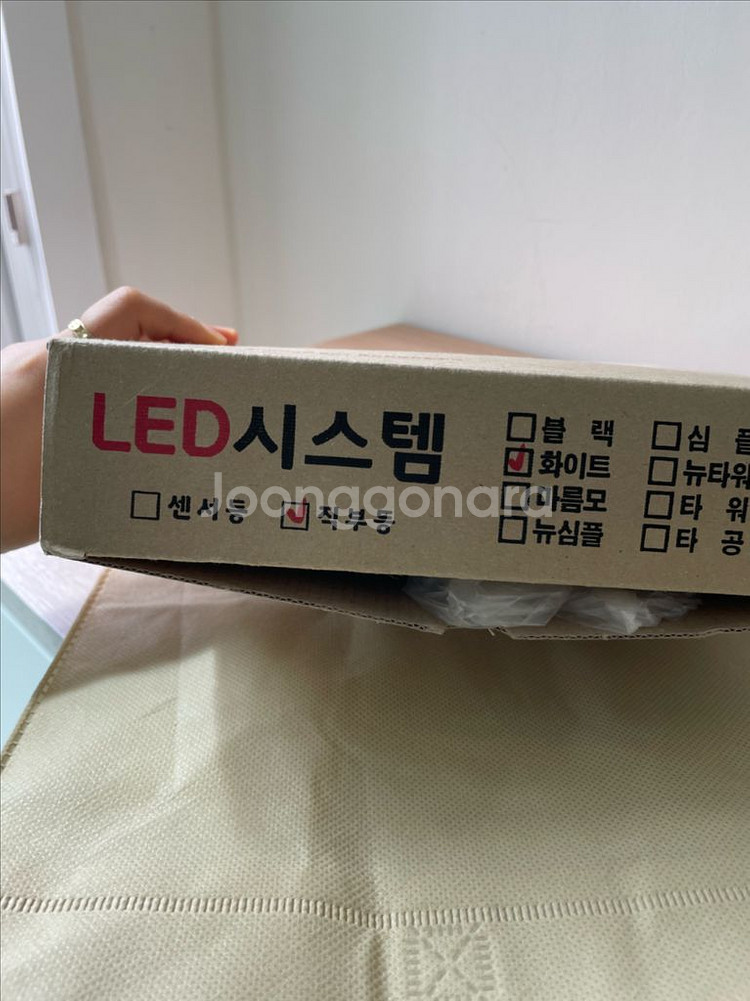직부등--1
