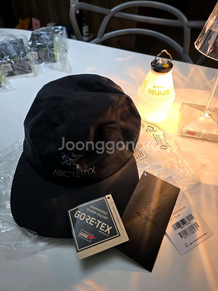 아크테릭스 고어 캡--0