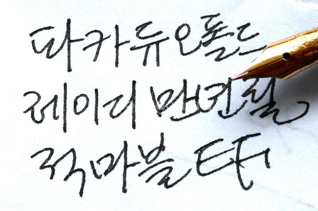 파카 듀오폴드 만년필 레이디 마블 - EF--8