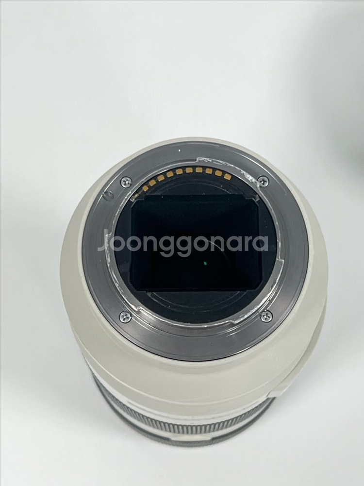 소니 70-200 F4 G OSS I 애기유령 렌즈--1