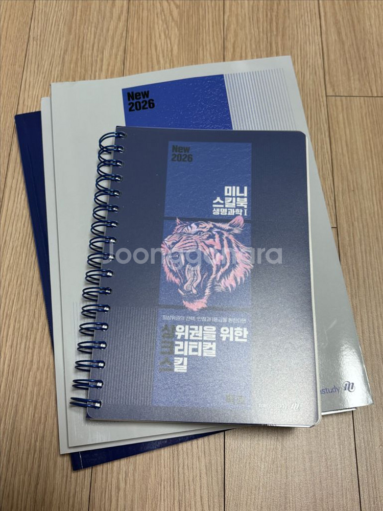 2026 백호 상크스 세트--0