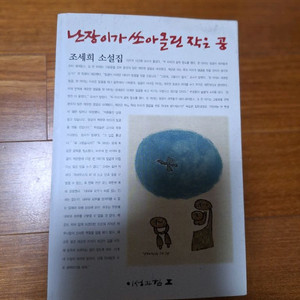 # 난장이가 쏘아올린 작은 공(조세희 소설집)