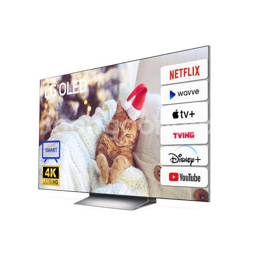 엘지 EVO 65인치 에보 올레드 고급형 OLEDTV--7