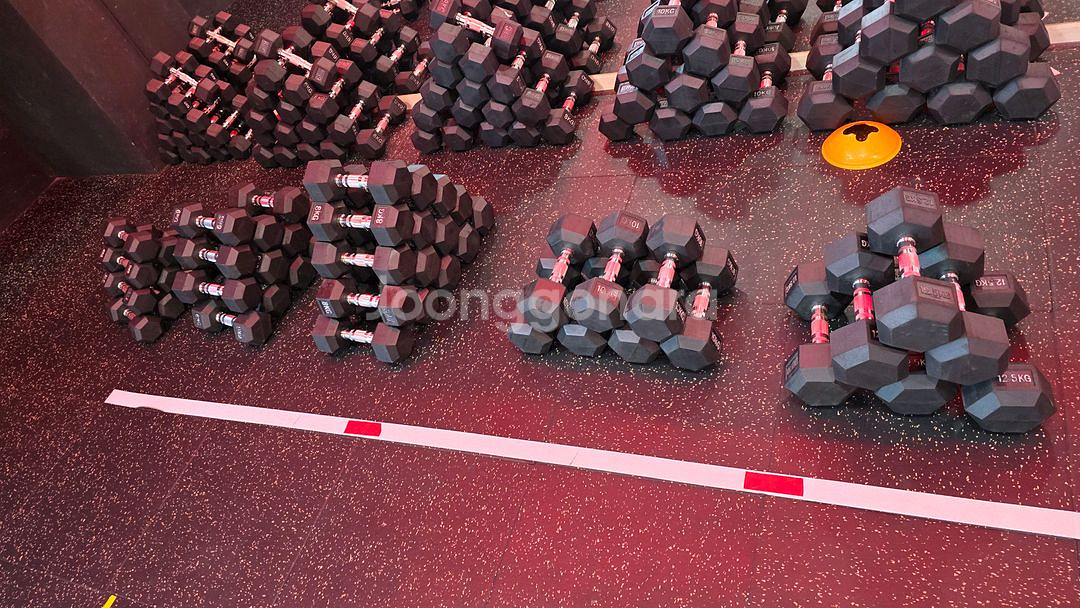 육각고무덤벨 4~12.5kg--0
