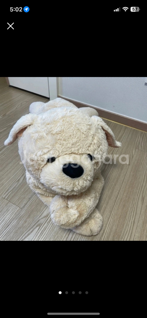 코스트코래브라도리트리버인형--0