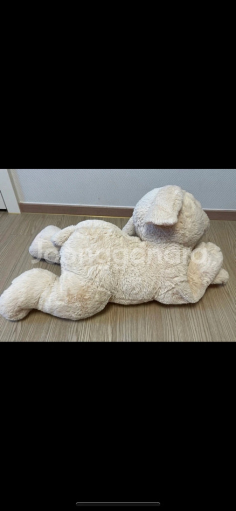 코스트코래브라도리트리버인형--5