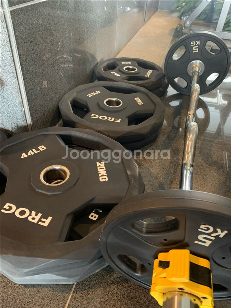 FROG 우레탄 원판 중량봉--2