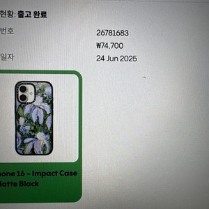 케이스티파이 아이폰 16
