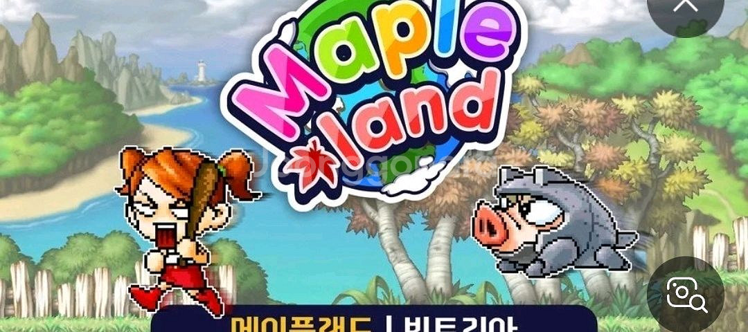 메이플월드 메이플랜드 월드코인--0