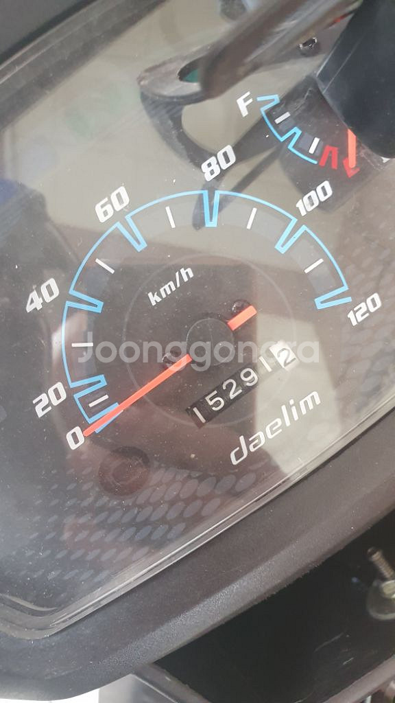 시티베스트--5