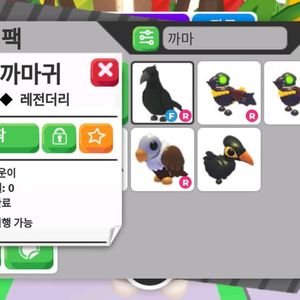 입양하세요 까마귀