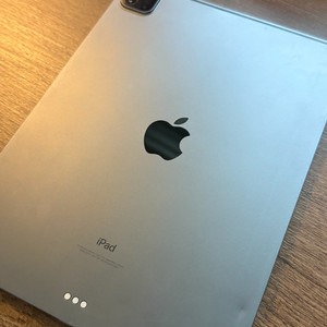 iPad Pro 11 (3세대) c타입 판매합니다.