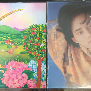 넥스트신해철lp2장