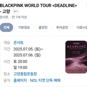 블랙핑크 콘서트 티켓