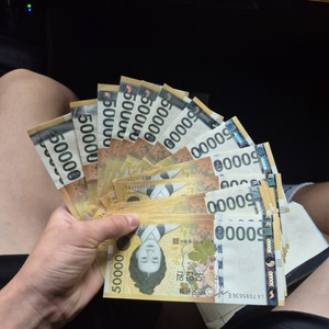 엔진11 크릿디 구해봅니다