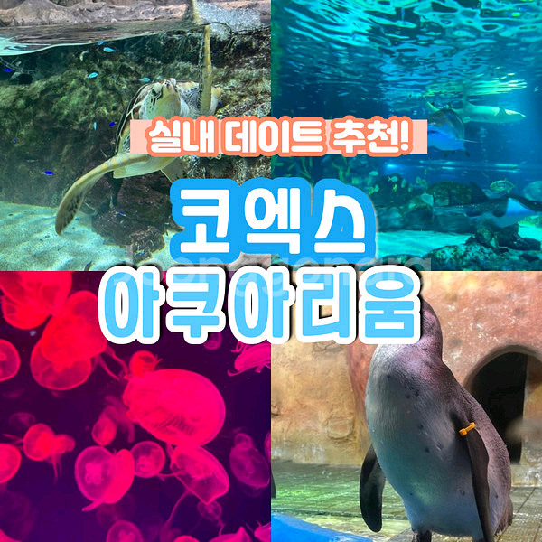 코엑스 아쿠아리움 모바일 티켓 판매합니다. 당일 사용o--0