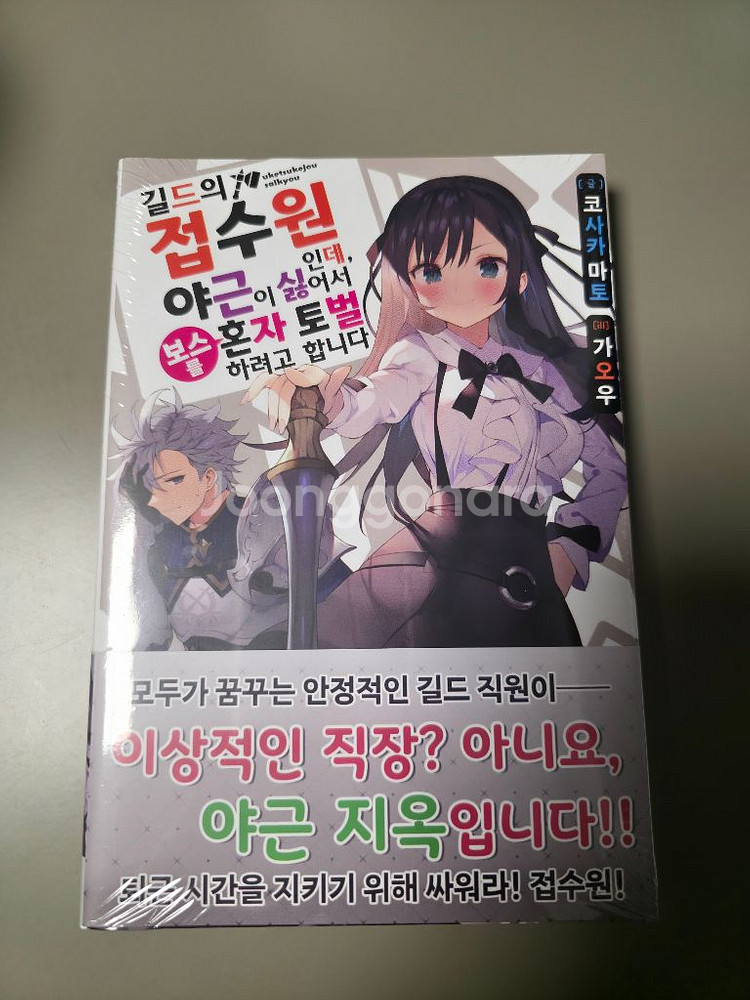 길드의접수원인데야근이싫어서보스를혼자토벌하려고합니다--0