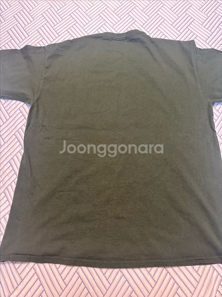 (XL) Flagstuff 6팩 반팔 티셔츠 그린--1
