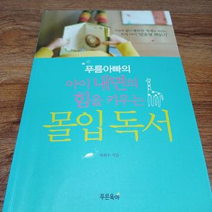 (중고책) 아이 내면의 힘을 키우는 몰입독서 -최희수