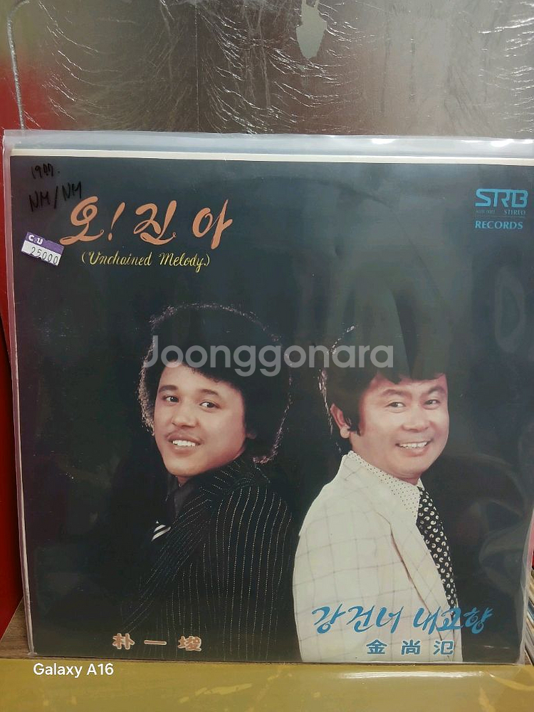 LP 박일준--2
