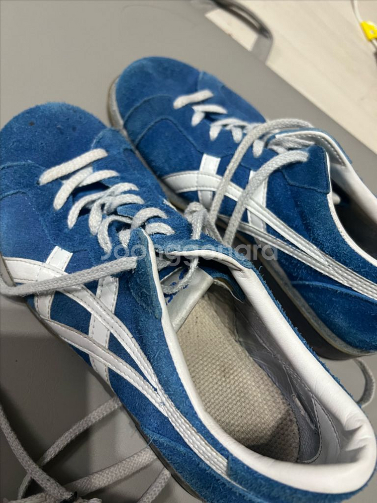 아식스 727 역도화 250--0