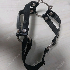 패션용 고양이 가터벨트 판매