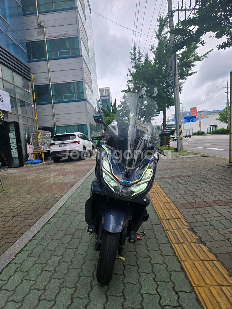 pcx125 22년식abs--0