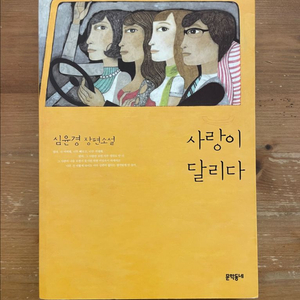 사랑이 달리다 - 심윤경