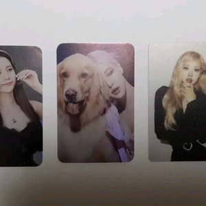 블랙핑크 홀로그램포토카드 지수 2022 웰커밍컬랙션로제