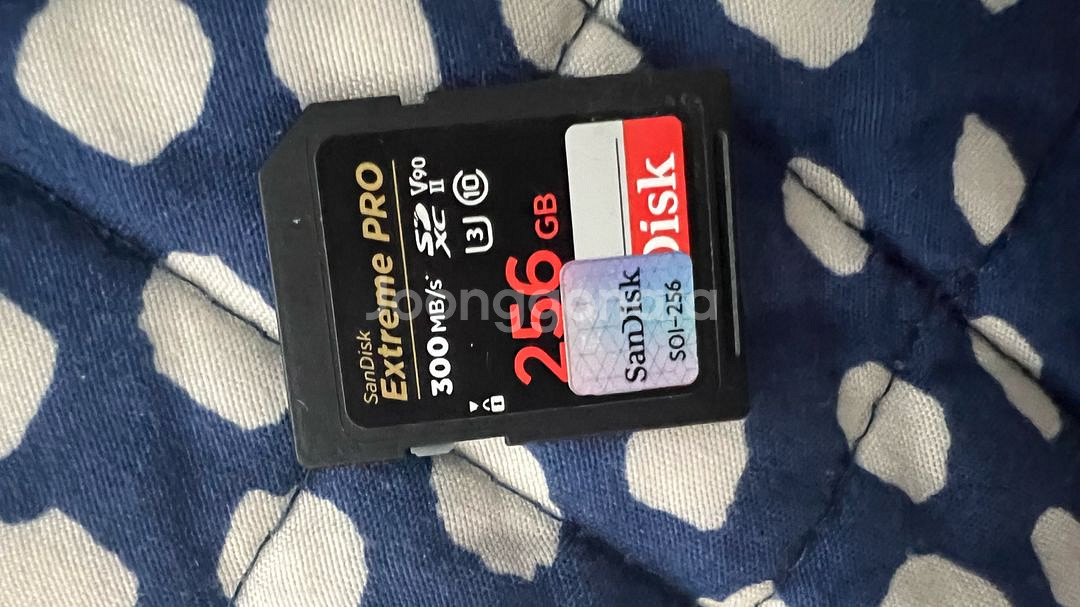 v90 256 sandisk ext pro 메모리카드--0