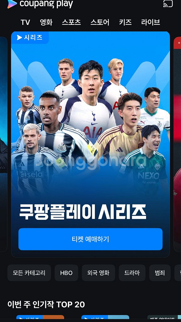 토트넘 vs 뉴캐슬 2등석 B(뉴캐슬 팬존2연석)--0