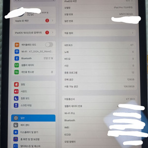 아이패드 11프로 m2칩 셀룰러 128기가 판매합니다