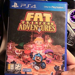 ps4 팻 프린세스 어드밴처
