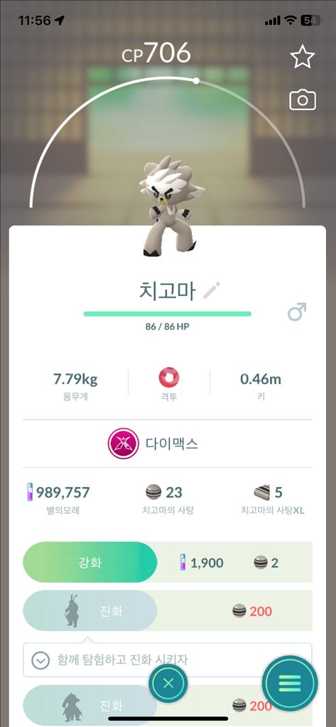 포켓몬고 치고마 판매--0
