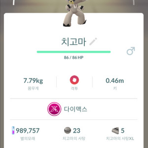 포켓몬고 치고마 판매