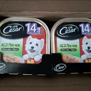 시저 시니어 소고기 야채 100g 24개 한박스