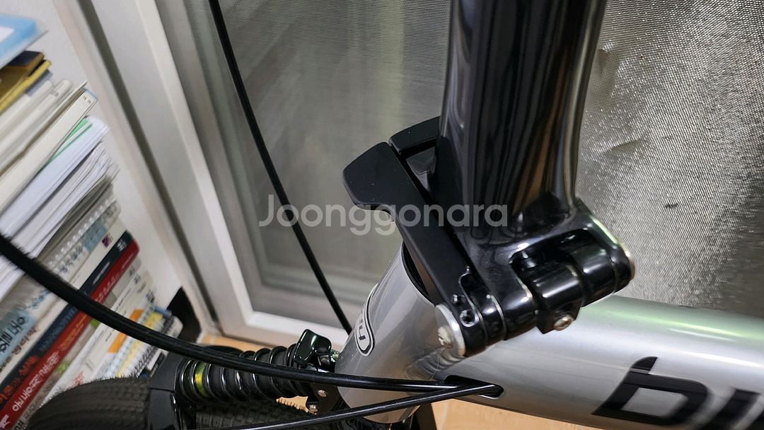 버디 클래식 에보--2