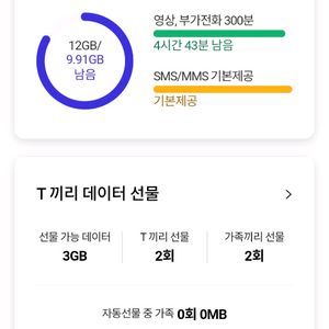 sk 데이터 sk데이타 2기가 2천원